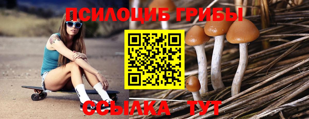 Новоалтайск  Псилоцибиновые грибы GOLDEN TEACHER  Вход с VPN  Псилоцибиновые грибы прущие грибы 
